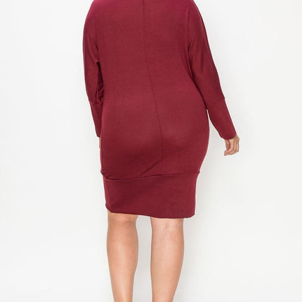 Draped Neck Long Sleeve Dress