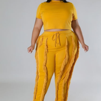 Plus Size Two-piece Crop Top Set