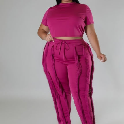 Plus Size Two-piece Crop Top Set