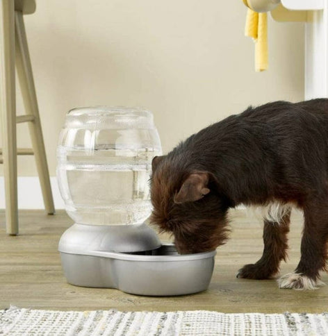 Dog automatic water dispenser (grey)