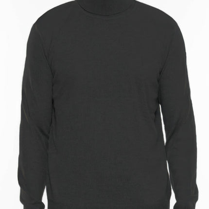 Mens Solid Turtleneck Sweater