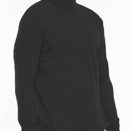 Mens Solid Turtleneck Sweater