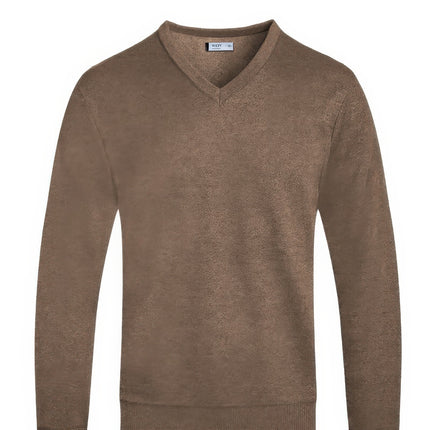 Solid V-neck Sweater