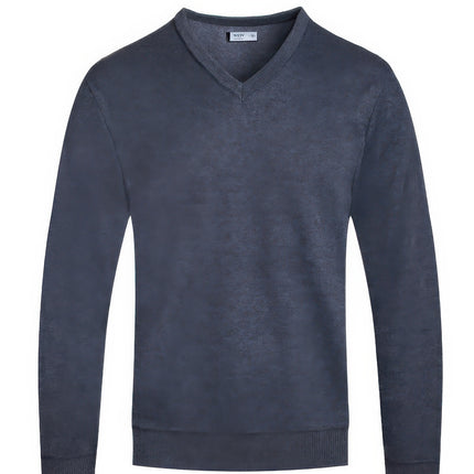 Solid V-neck Sweater